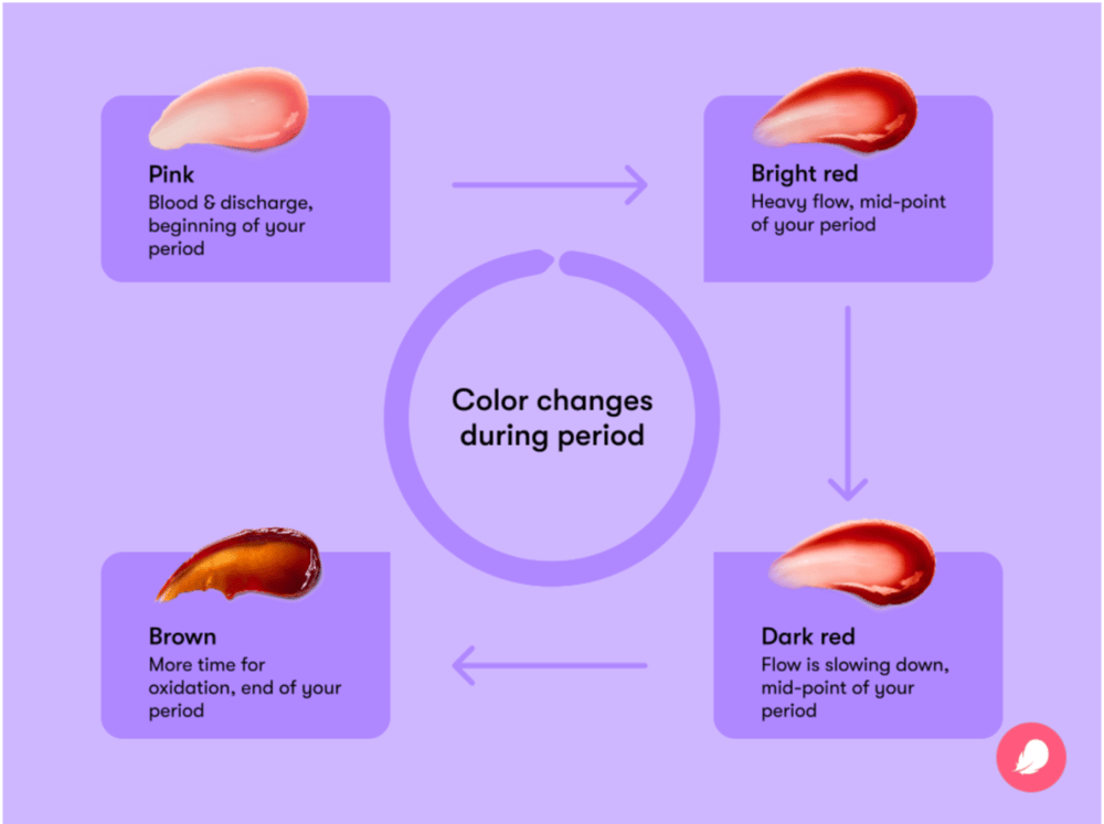 Period blood color chart What you need to know Flo